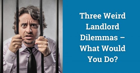 Three Weird Landlord Dilemmas – What Would You Do?