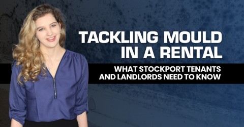 Tackling Mould in a Rental: What Stockport Tenants and Landlords Need to Know